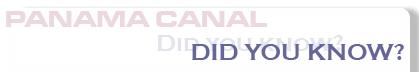 did