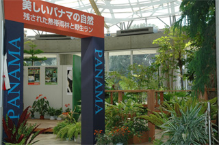 sdf