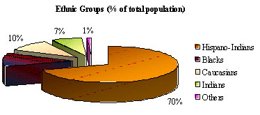 grafico2