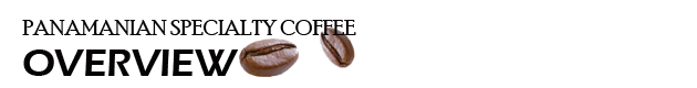 sub overvi